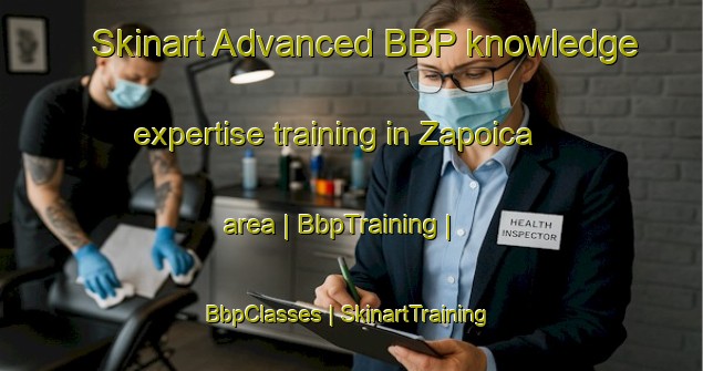 Skinart Advanced BBP knowledge expertise training in Zapoica area | BbpTraining | BbpClasses | SkinartTraining-Mexico
